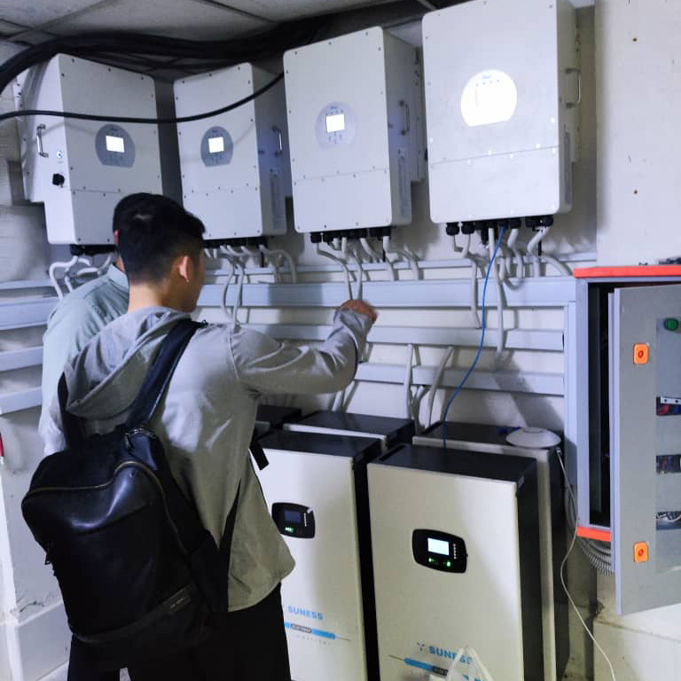 Inversor Deye con Batería Inversor Deye con Batería