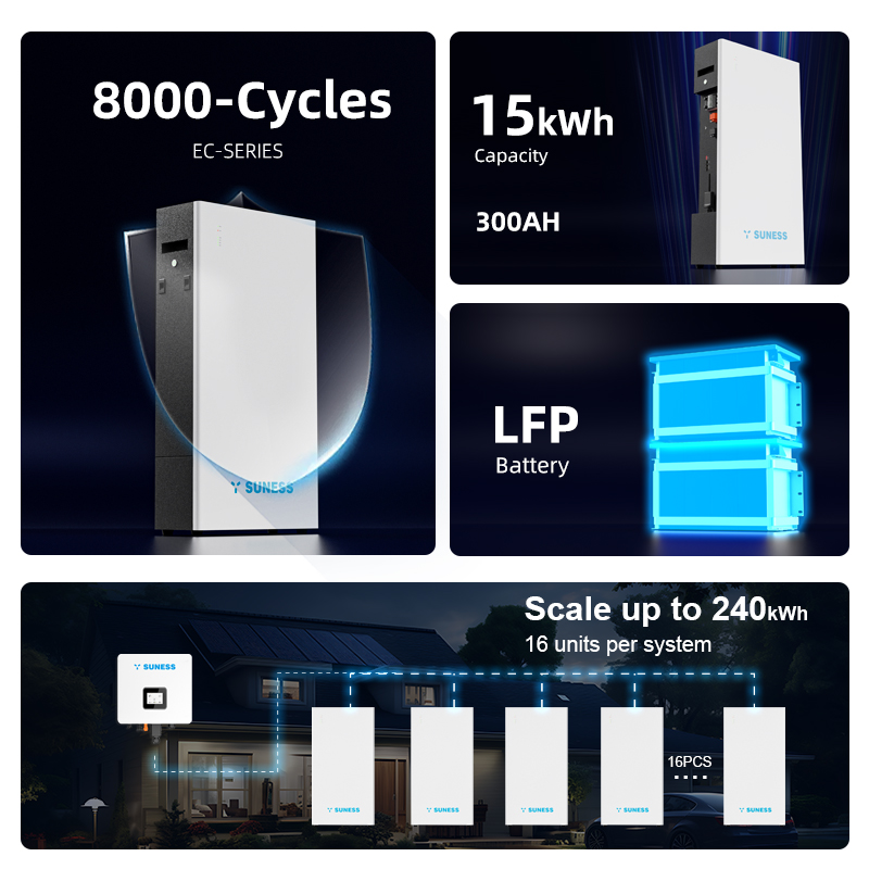 EC-48300F 48V 300AH | Un grado | ESM basado en la nube