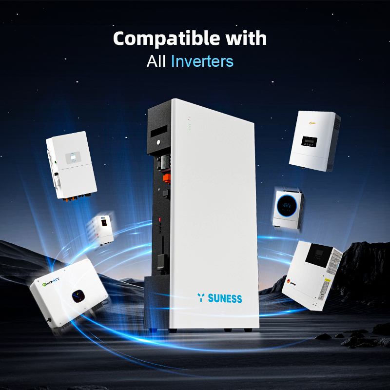 EC-48300F 48V 300AH | Un grado | ESM basado en la nube