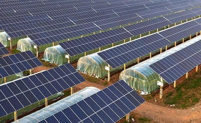 Solución Fotovoltaica Agrícola