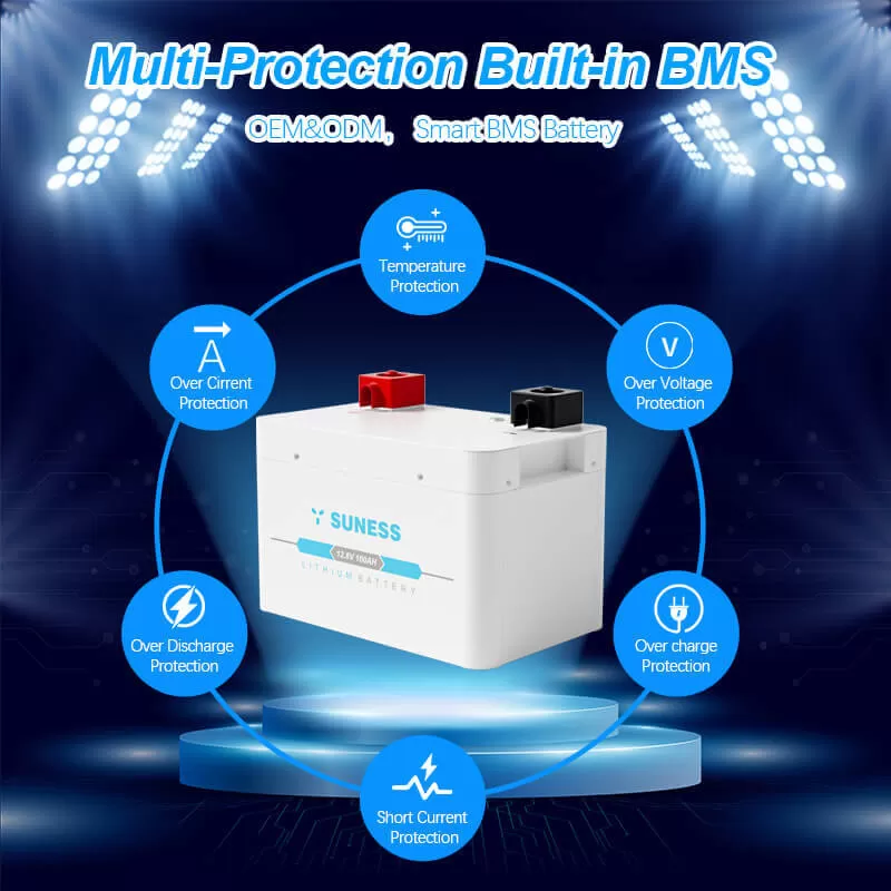 Paquete de bater&iacute;as de 12v