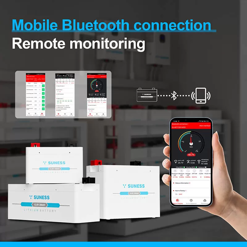 bater&iacute;a de iones de litio upsc