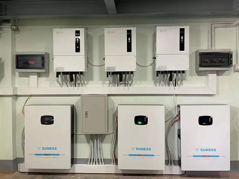 &iexcl;Un aplauso para los distribuidores profesionales de Suness en Myanmar!