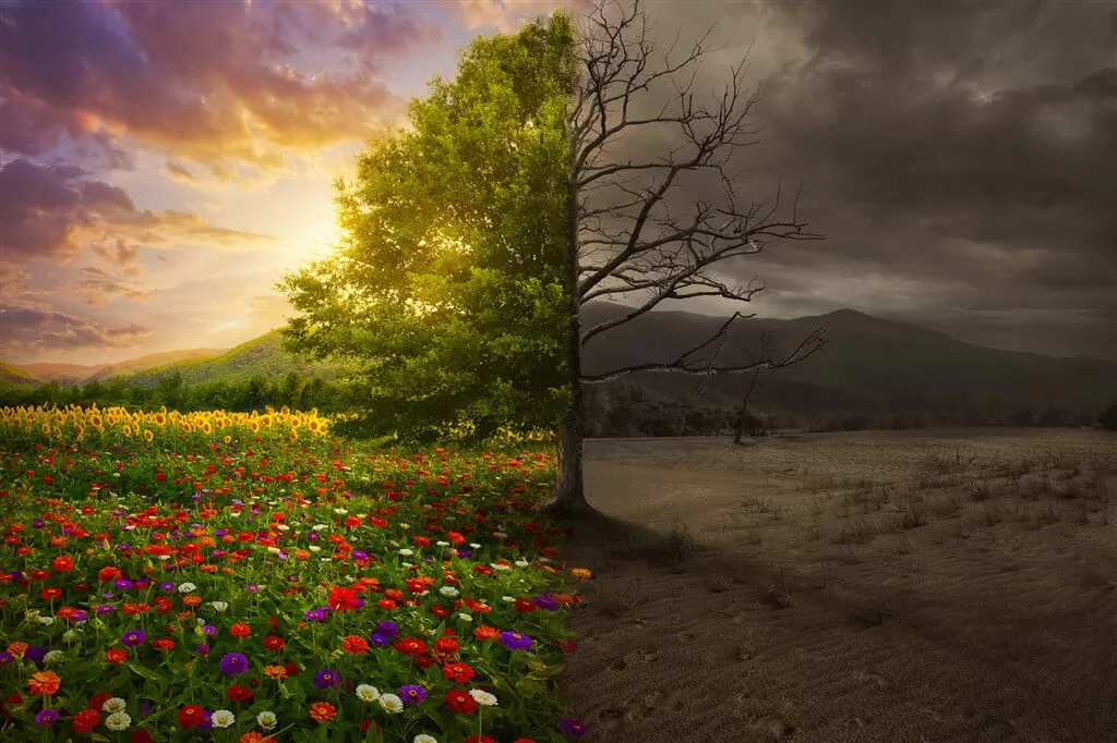 C&oacute;mo las tasas de inter&eacute;s dan forma al futuro de la energ&iacute;a limpia