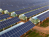 Soluci&oacute;n fotovoltaica agr&iacute;cola